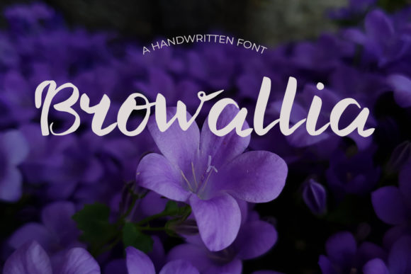 Browallia: A Delightful Script Font
