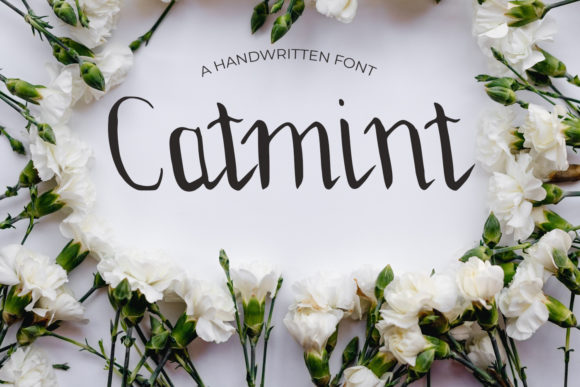 Catmint: A Delicate Font for Creative Projects