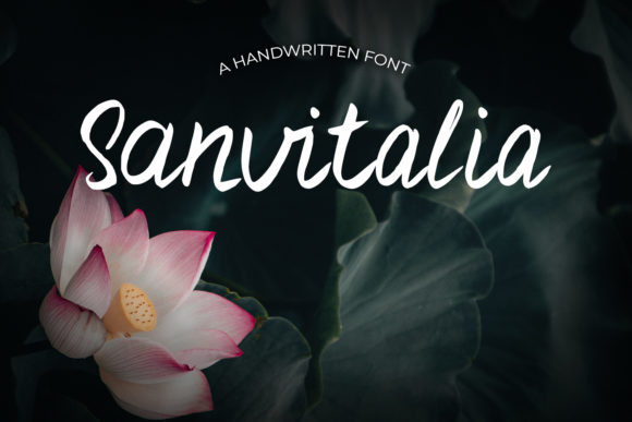 Sanvitalia: A Font for Creative Campaigns