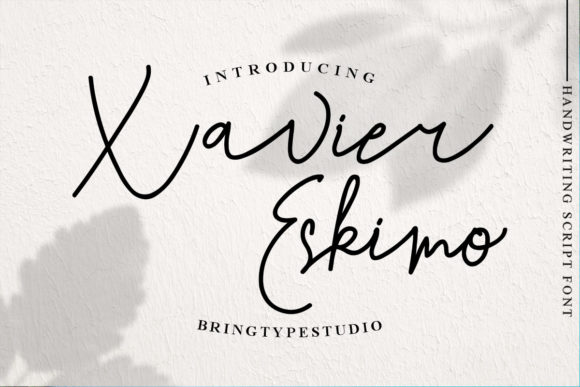 Xavier Eskimo Font Review